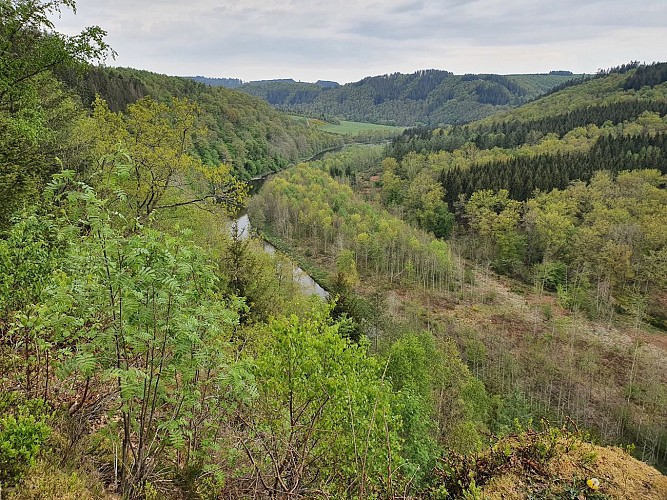 Bouillon PV Charlier avril 20 A. Villeval (2)