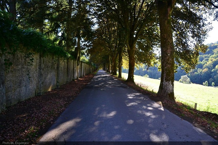 Mur d'enceinte abbaye Cordemois - L.Engelmann 1024.jpg