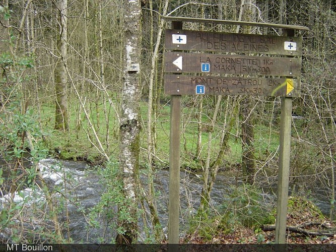 Le Ruisseau des Aleines