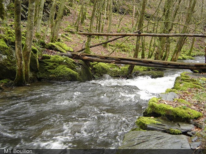 Le Ruisseau des Aleines