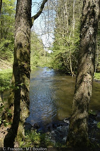 Le Ruisseau des Aleines