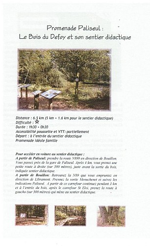 Wandelfiche Arboretum van Paliseul