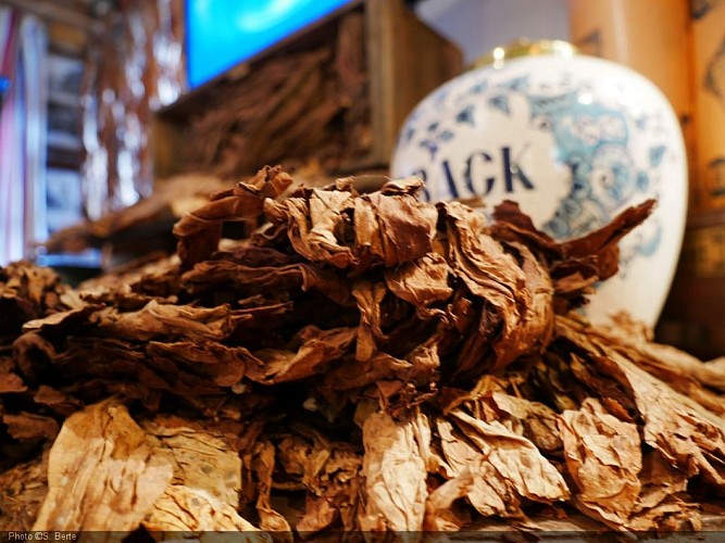 Musée du Tabac - S. Berte (2) - Copie.JPG