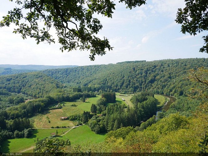 P1020185 - Copie.JPG