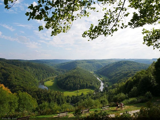 P1020269 - Copie.JPG