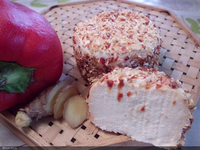 Ferme des sureaux (2).JPG