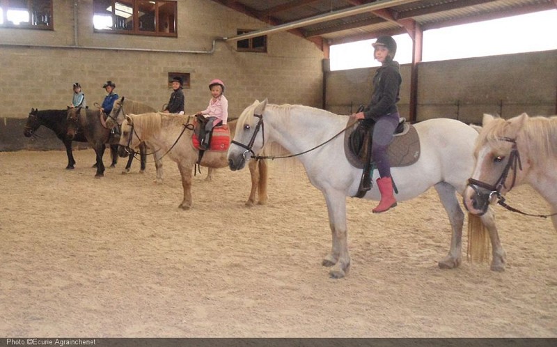 Graide Ecurie Agrainchenet 21 copy Ecurie Agrainchenet.jpg