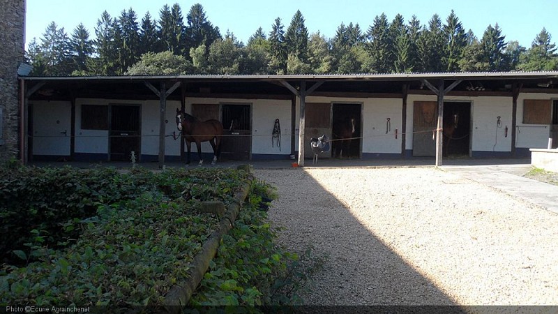 Graide Ecurie Agrainchenet 2021 copy Ecurie Agrainchenet.jpg