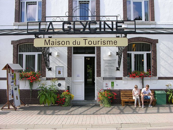 2015 - Vresse - Eté - Glycine (Max Léo - AN) (8)