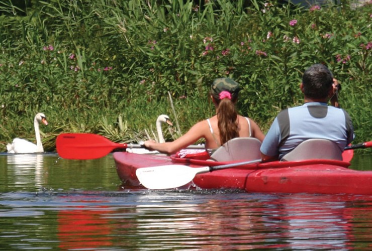 Recrealle-site-kayaks