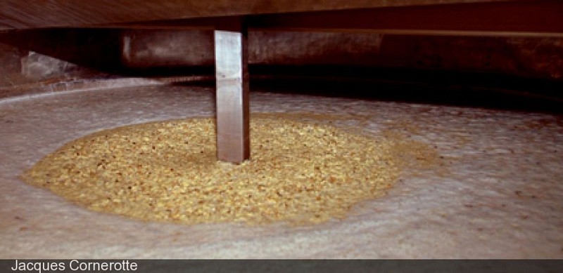 Die handwerkliche Brauerei  Millevertus