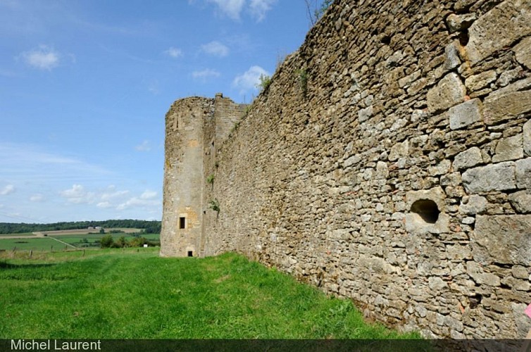 Ruinen der Burg von Montquintin (wichtiges Kulturerbe Walloniens)