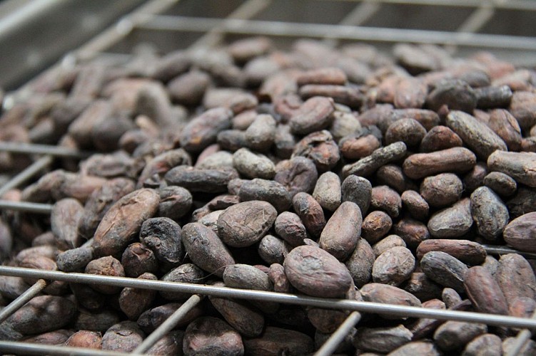 Manufacture Deremiens (9)