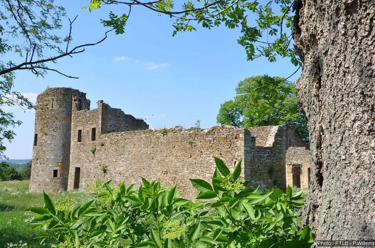 Ruines du Château de Montquintin