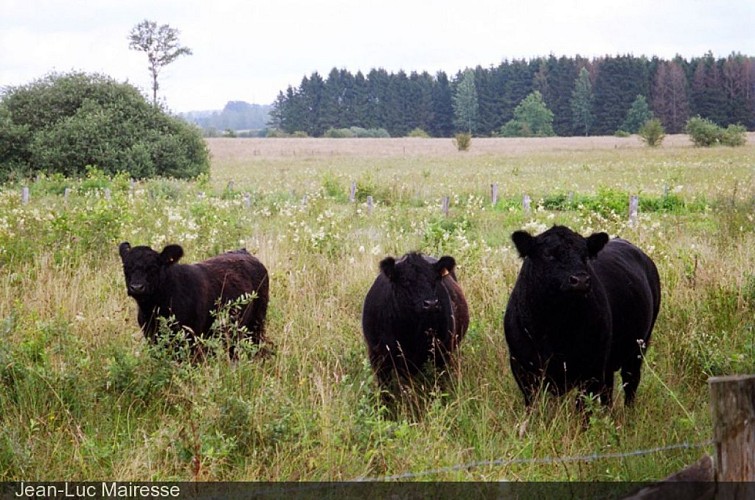 Réserve naturelle "La Plate dessous les Monts"
