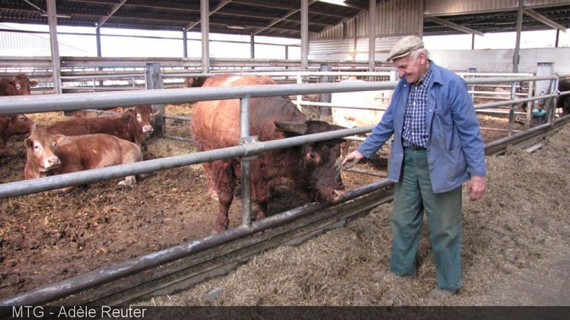 Ferme du Bueau (part of the Accueil Champêtre en Wallonie teaching farms)