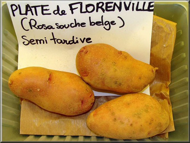Plate de florenville.jpg