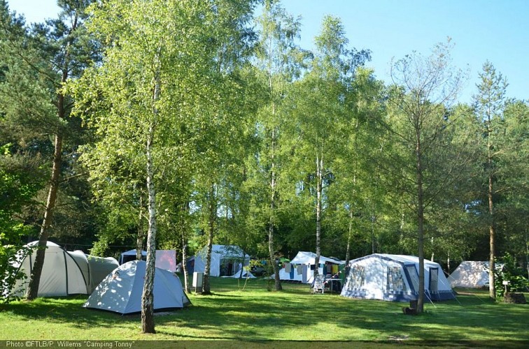 Camping Tonny1