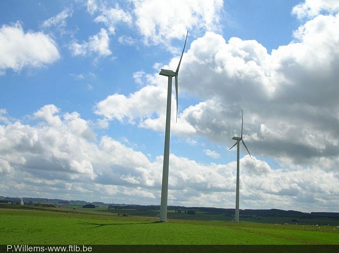 The Wind park