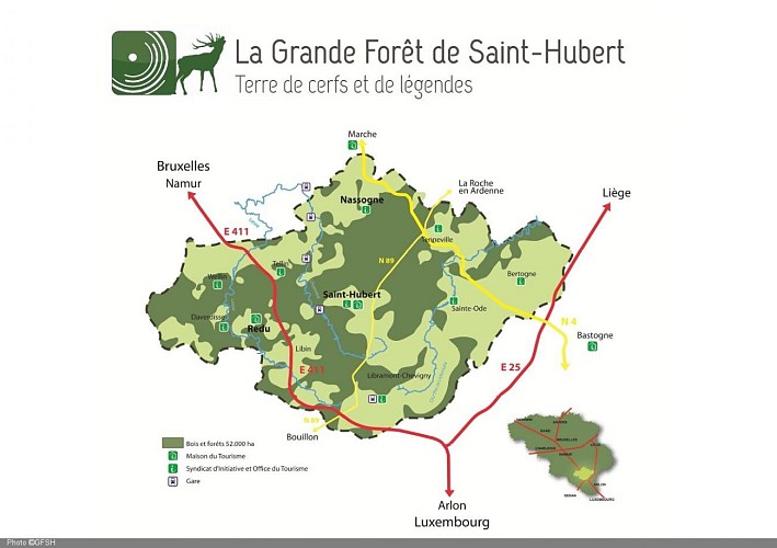 Carte Grande Forêt.jpg