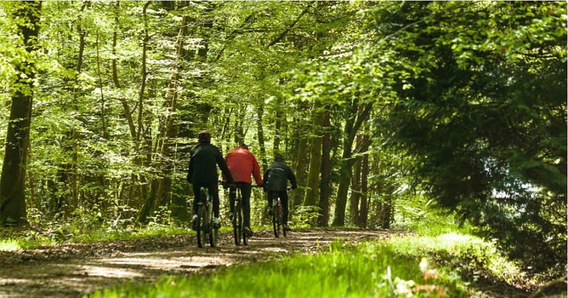 Curiosité à bourcy