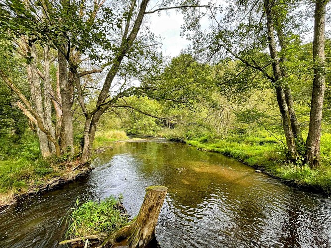 Promenade_du_Parc_©_MTFSH_-_TEXTO_Pascal_Willems_(28)