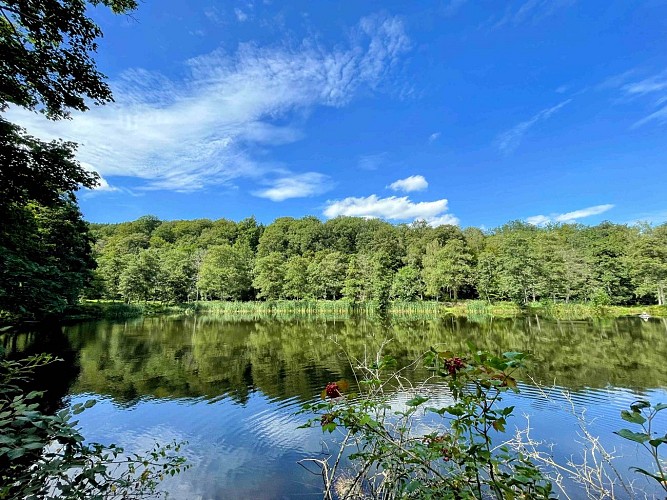 Promenade_de_Marsoult_©_MTFSH_-_TEXTO_Pascal_Willems_(39)