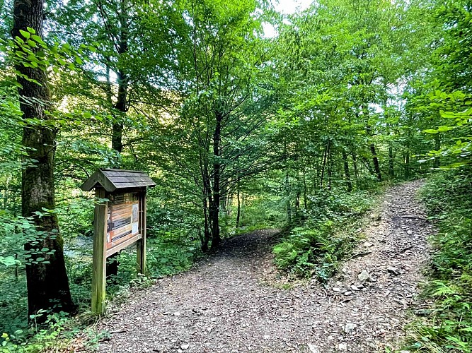 Promenade_de_la_Glacière_©_MTFSH_-_TEXTO_Pascal_Willems_(63)