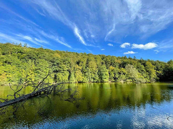 Promenade_de_la_Glacière_©_MTFSH_-_TEXTO_Pascal_Willems_(82)