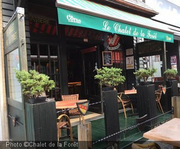 Chalet-foret (5).JPG