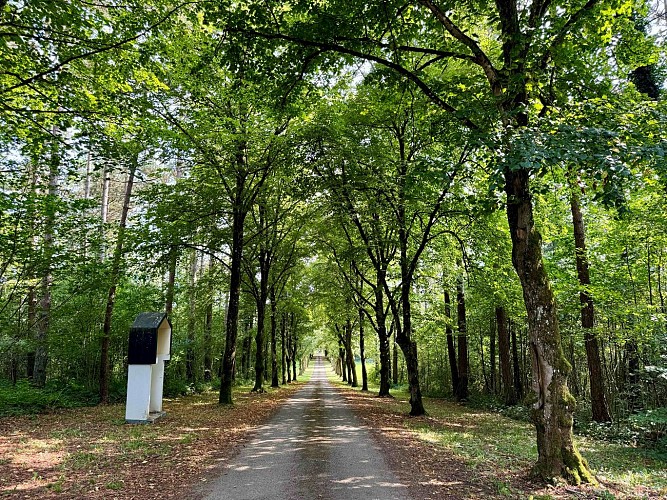 Bataille_de_Bure__MTFSH_TEXTO_Pascal_Willems_26