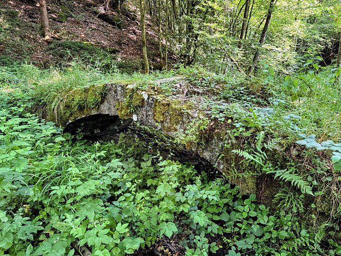 Tellin_promenade_du_pont_des_cloyes©MTFSH_TEXTO_Pascal_Willems_(21)