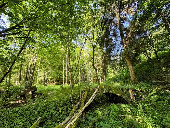 Tellin_promenade_du_pont_des_cloyes©MTFSH_TEXTO_Pascal_Willems_(29)