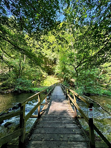 Promenade-de-la-lesse©MTFSH_TEXTO_Pascal_Willems_(59)