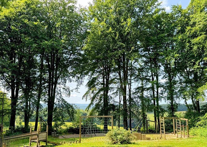 Sainthubert_vtt_foretduroialbert©MTFSH-TEXTO_Pascal_Willems_(10)