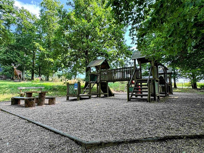 Sainthubert_vtt_foretduroialbert©MTFSH-TEXTO_Pascal_Willems_(14)