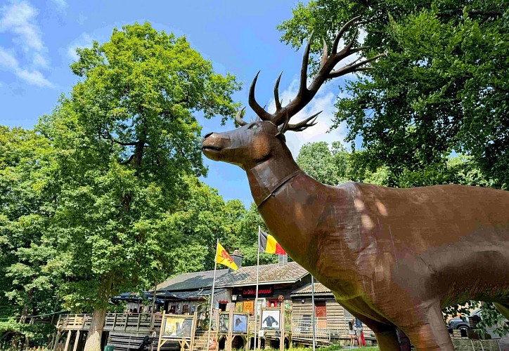 Sainthubert_vtt_foretduroialbert©MTFSH-TEXTO_Pascal_Willems_(168)