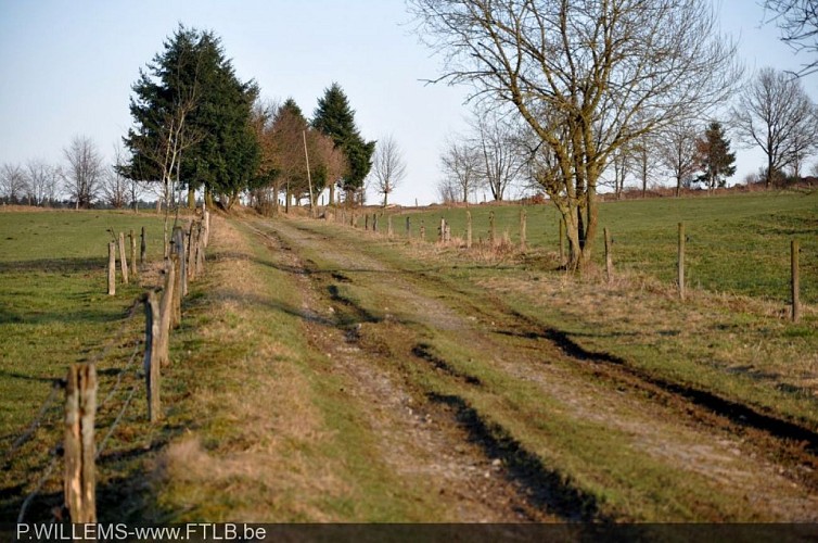 Site de la chaussée romaine