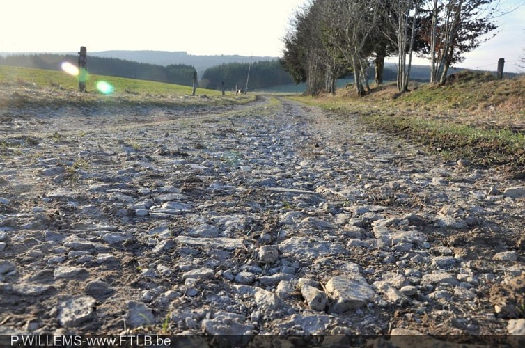 Site de la chaussée romaine