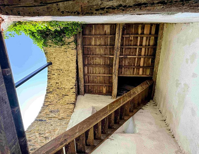 Tenneville_promenade_vieille_eglise©MTFSH-TEXTO_Pascal_Willems_(66)