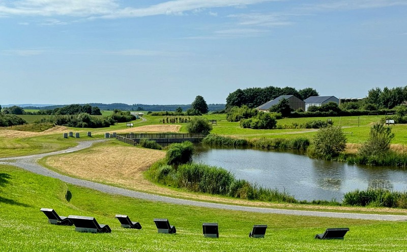 BaladeurbaineMTFSH_TEXTO_Pascal_Willems_42