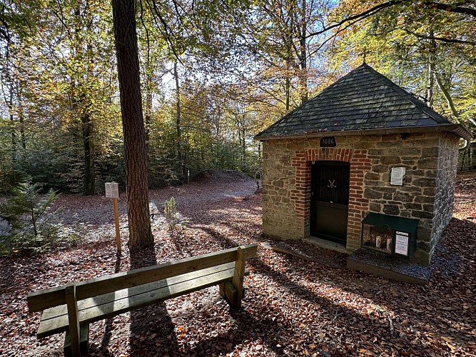 VTT-Lhomme-SH©MTFSH-TEXTO_Pascal_Willems_(4)