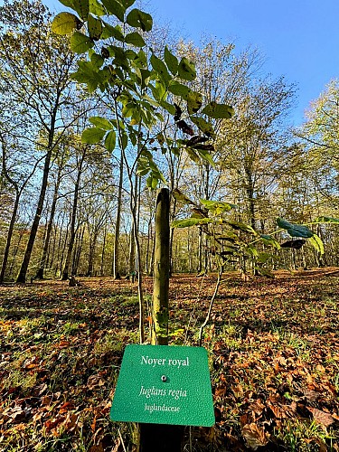 Vtt-calcaires-du-geopark-wellin©MTFSH-TEXTO_Pascal_Willems_(133)