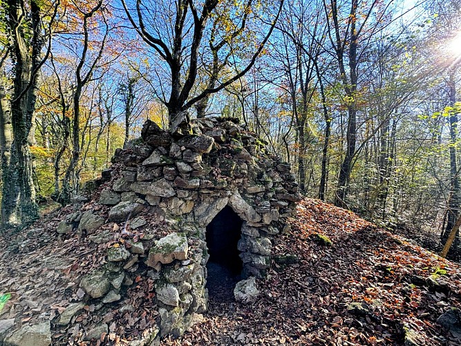 Vtt-calcaires-du-geopark-wellin©MTFSH-TEXTO_Pascal_Willems_(214)