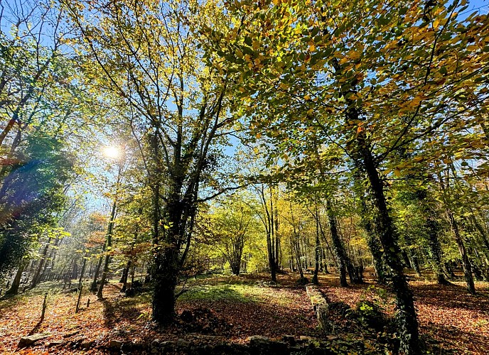 Vtt-calcaires-du-geopark-wellin©MTFSH-TEXTO_Pascal_Willems_(152)