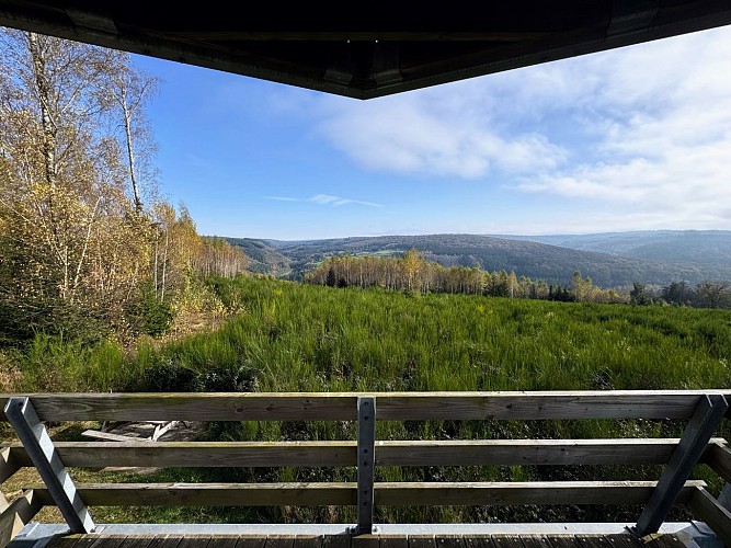 EquestrecestmonpointdevueMTFSHTEXTO_Pascal_Willems_39