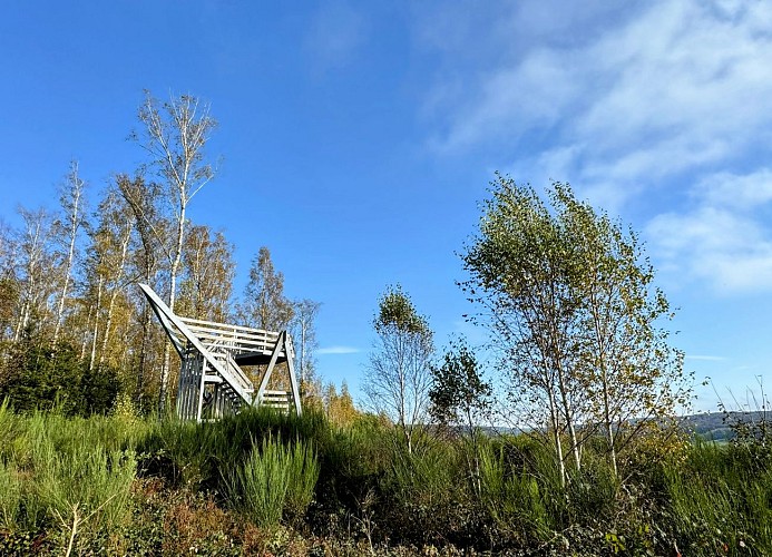 EquestrecestmonpointdevueMTFSHTEXTO_Pascal_Willems_96