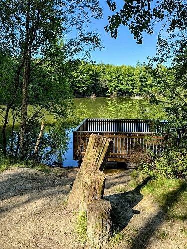 Libin_promenade_boisderenimont©MTFSH-TEXTO_Pascal_Willems_(76)