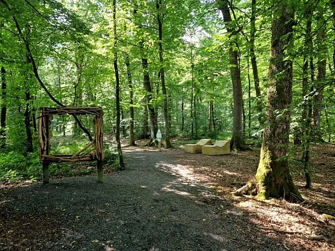 Bois-de-la-fontaine (5)