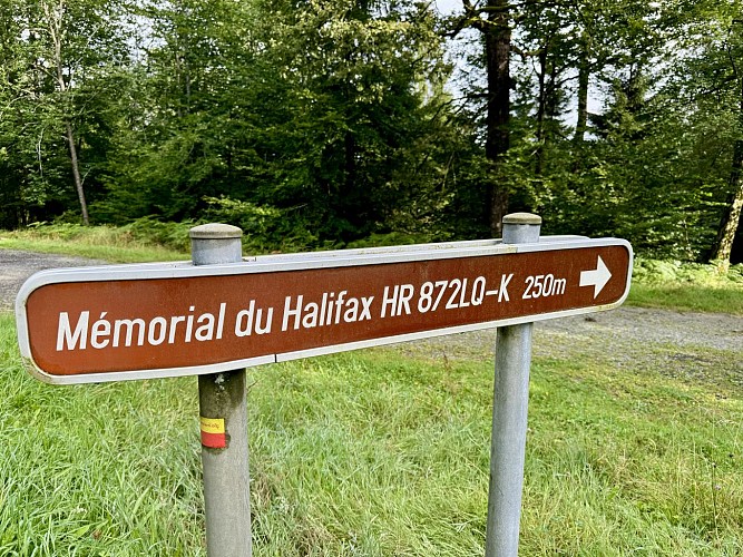 Cirucit_Halifax__©_MTFSH_TEXTO_Pascal_Willems_(14)